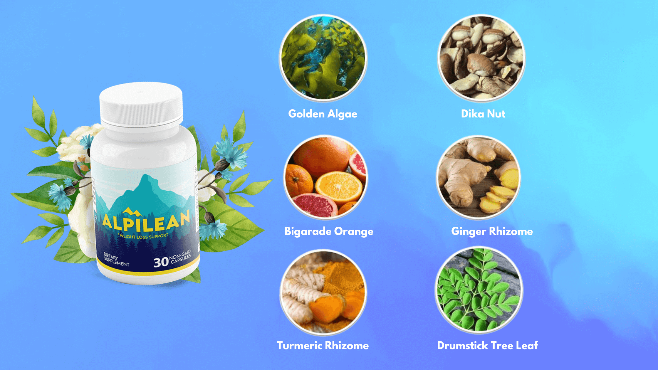 Alpilean reviews 4 ingredients | ChimpReports