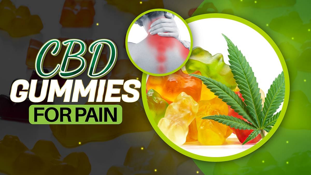 Best CBD Gummies for Pain & Inflammation in 2024: Back, Joint & Knee Pain